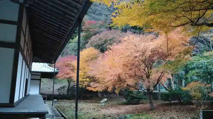 高徳庵 (最勝院)の景色