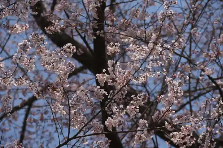 曹洞宗 永松山 龍泉寺の自然