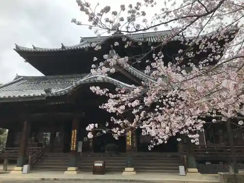 粉河寺の本殿・本堂