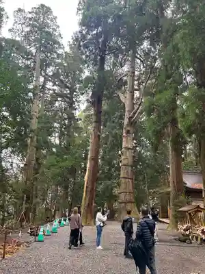 高千穂神社(宮崎県)