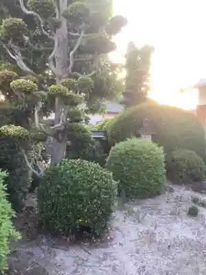 善慶寺のその他建物