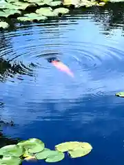 倶梨迦羅神社(長野県)