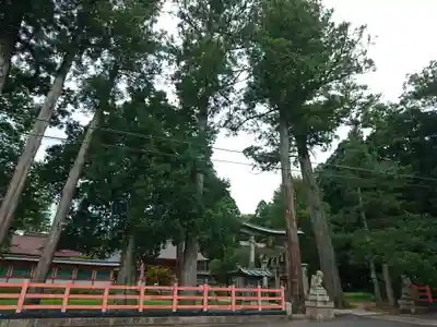 出石神社のその他建物