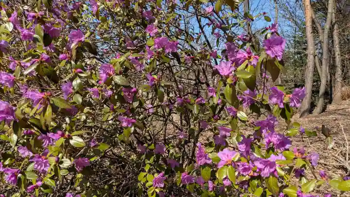 東神楽神社(北海道)