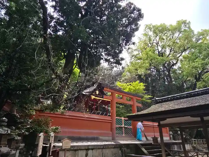 春日大社 若宮(春日若宮)(奈良県)
