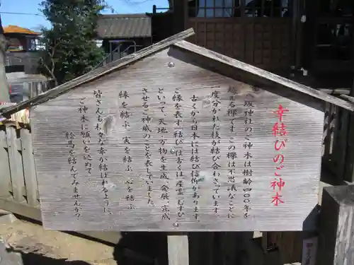 守谷総鎮守 八坂神社(茨城県)