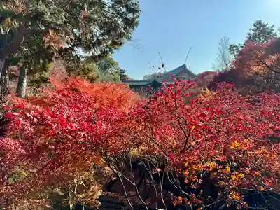 東福禅寺(東福寺)(京都府)