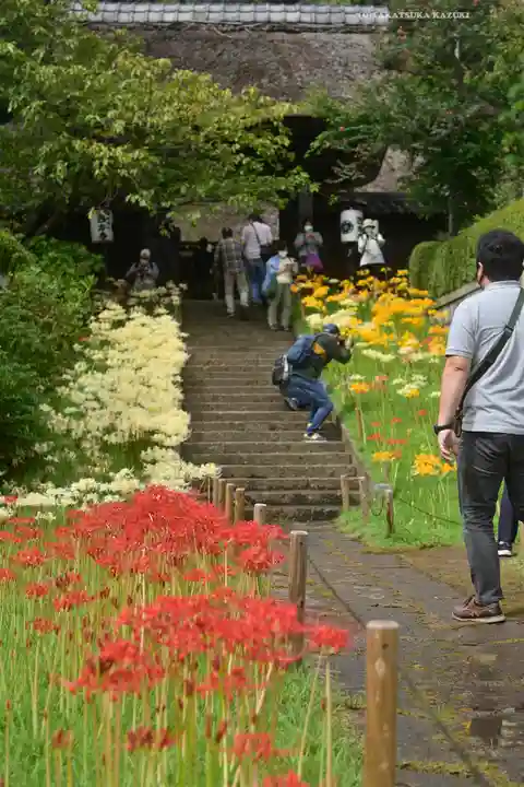 横浜 西方寺(神奈川県)