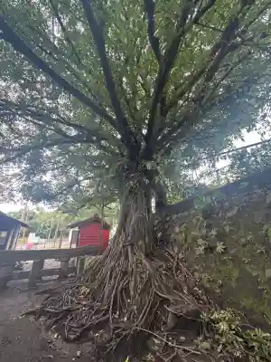 腹五社神社(鹿児島県)