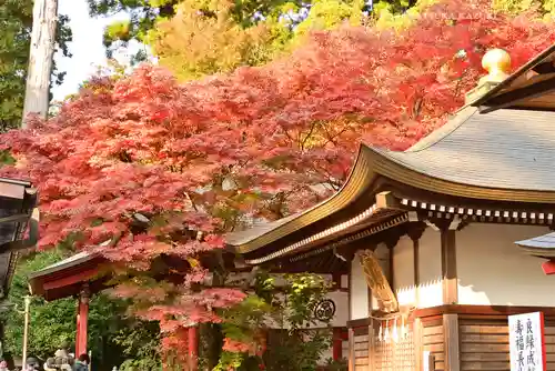 高尾山薬王院(東京都)