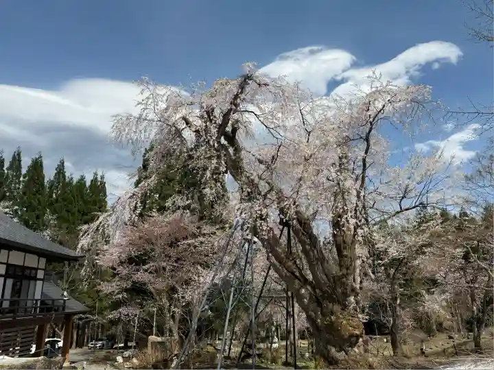 貞麟寺(長野県)