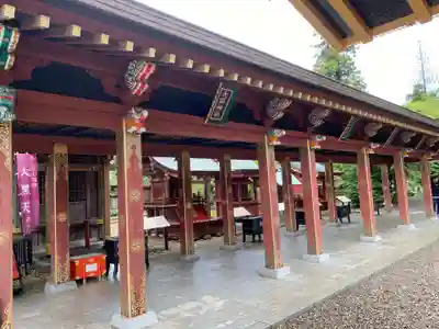 大杉神社(茨城県)