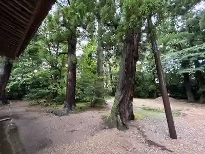 越中一宮 髙瀬神社(富山県)