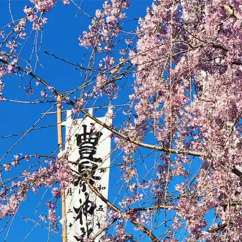 豊景神社の自然