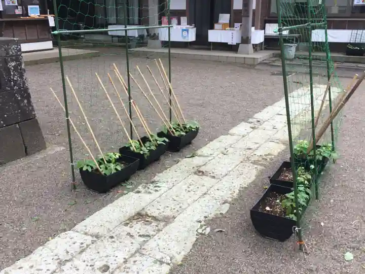 下総国三山 二宮神社の自然