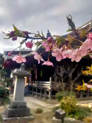 椎尾山薬王院(茨城県)