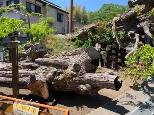 上澤寺の建物その他