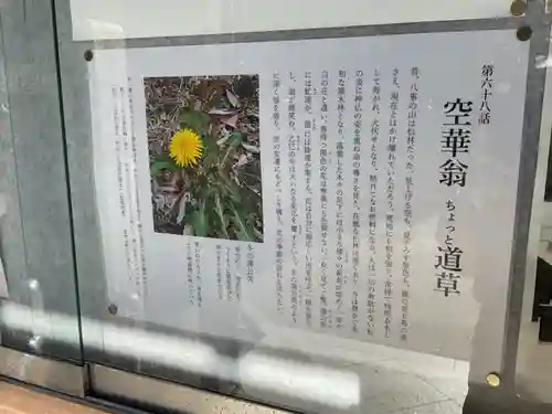 八事山 興正寺(愛知県)