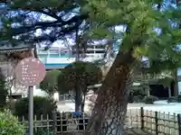 孝勝寺(宮城県)