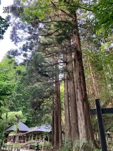 満願寺(長野県)