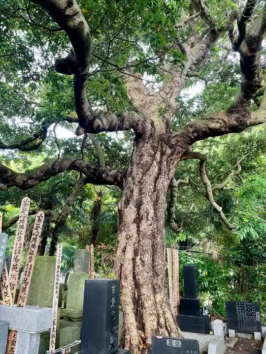 長生院(神奈川県)