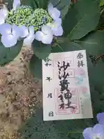 季節の花御朱印　額紫陽花
※神社
　700円