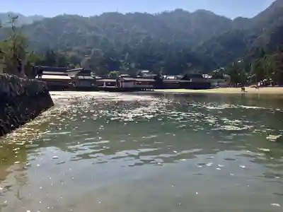 厳島神社(広島県)