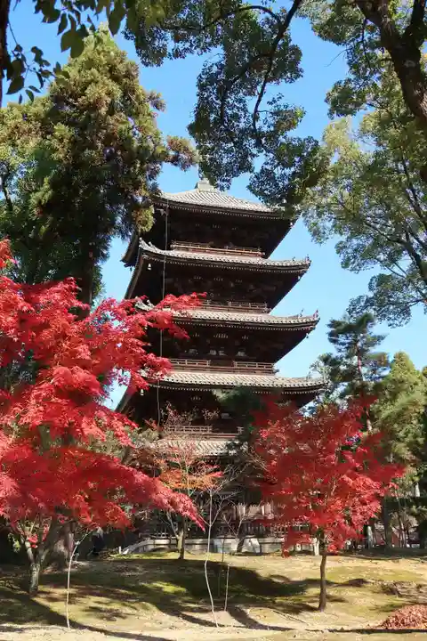 仁和寺(京都府)