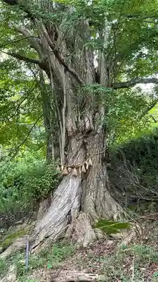 登米神社(宮城県)