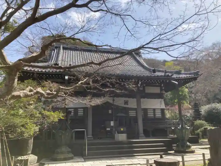 安國論寺(安国論寺)の本殿・本堂
