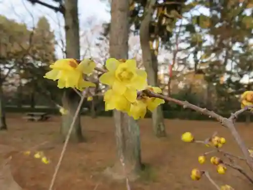 菅原院天満宮神社の自然