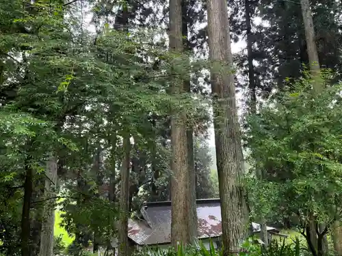 大宮温泉神社の建物その他