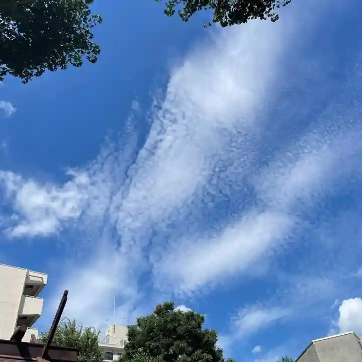 高円寺氷川神社の自然