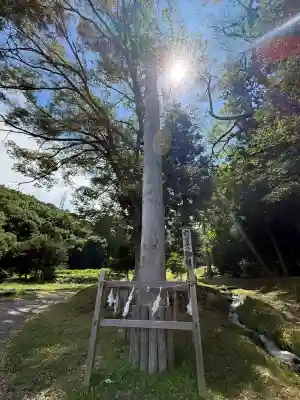 諏訪大社上社前宮(長野県)