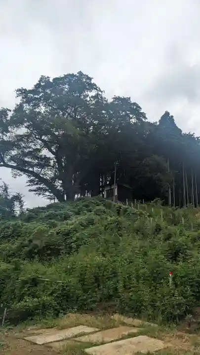 浅間神社(東京都)