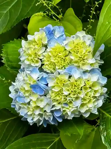 刈田嶺神社(宮城県)