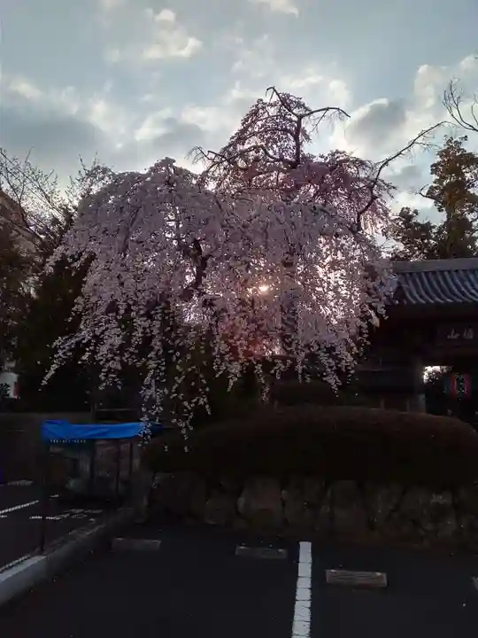 栽松院(宮城県)