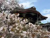 仁和寺の{uncategorized: "未分類", other: "その他", undefined: "問題あり", building: "その他建物", grave: "お墓", sacred_gate: "鳥居", guardian: "狛犬", statue: "像", buddha: "仏像", history: "歴史", nature: "自然", garden: "庭園", animal: "動物", pagoda: "塔", temizu: "手水舎", mountain_gate: "山門・神門", sanctuary: "本殿・本堂", subordinate: "末社・摂社", art: "芸術", scenery: "景色", jizo: "地蔵", ema: "絵馬", goshuin: "御朱印", omikuji: "おみくじ", items: "授与品その他", amulet: "お守り", goshuincho: "御朱印帳", eats: "食事", festival: "お祭り", votive_dance: "神楽", shichigosan: "七五三参", wedding: "結婚式", experience: "体験その他", initially: "初詣", around: "周辺", anti_infection: "感染症対策"}