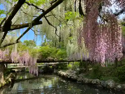 春日大社(奈良県)