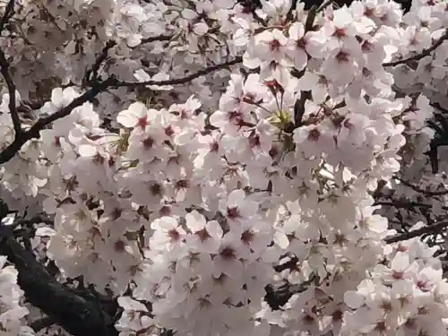 伊和志津神社の自然