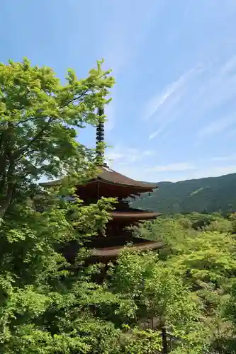 長谷寺(奈良県)