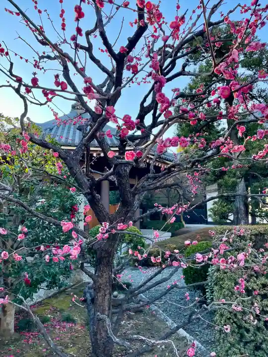 海晏寺(東京都)