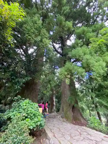 熊野那智大社(和歌山県)
