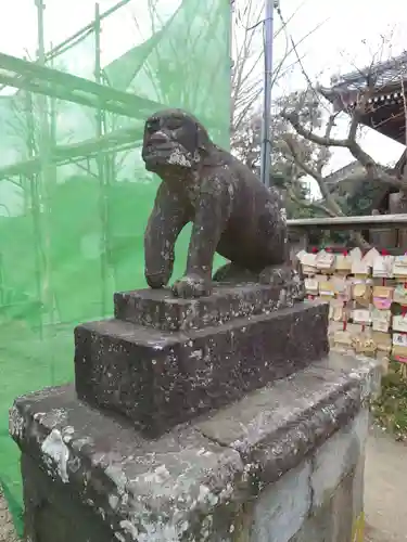 龍ケ崎八坂神社の狛犬