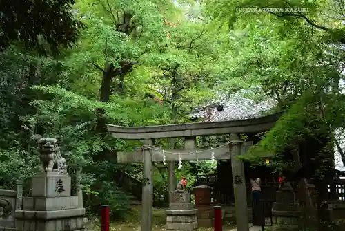 赤坂氷川神社(東京都)