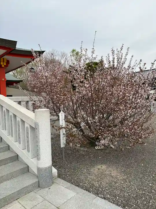 樽前山神社の自然