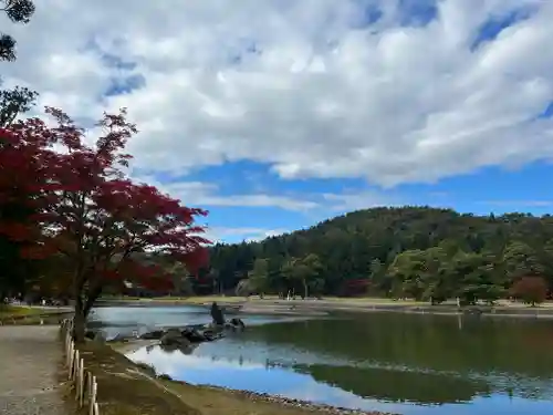 毛越寺の景色