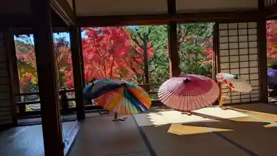 勝林寺(京都府)