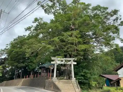 八坂神社の鳥居