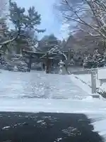 函館八幡宮の鳥居